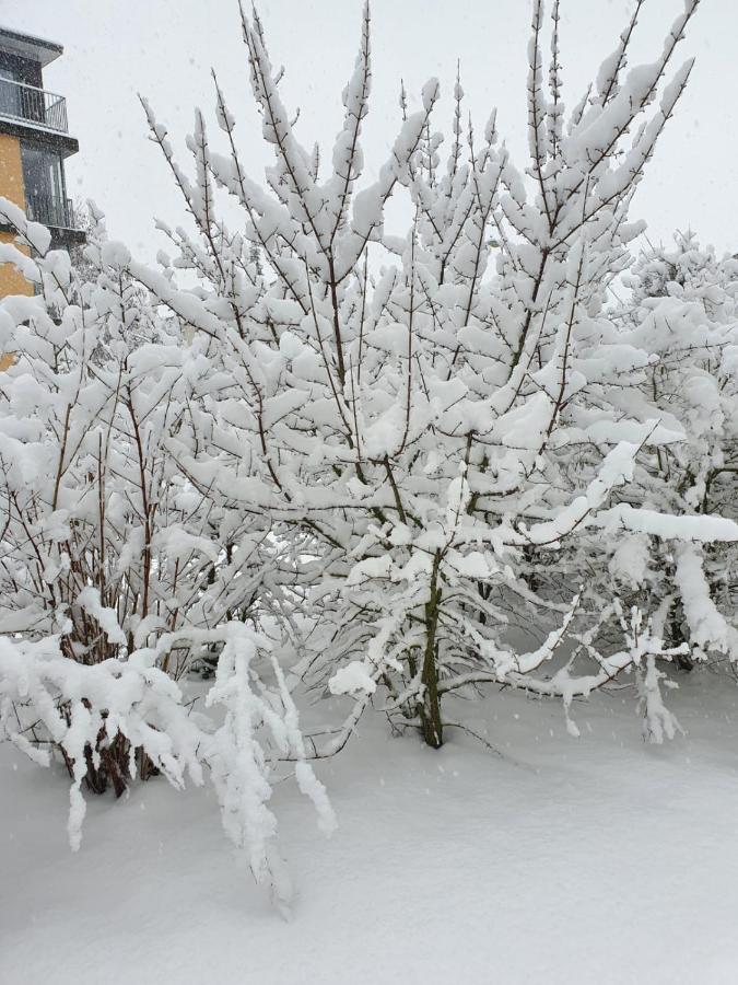 Wohnung Im Schwarzwald Mit Panorama Blick Kleines Wiesental Luaran gambar