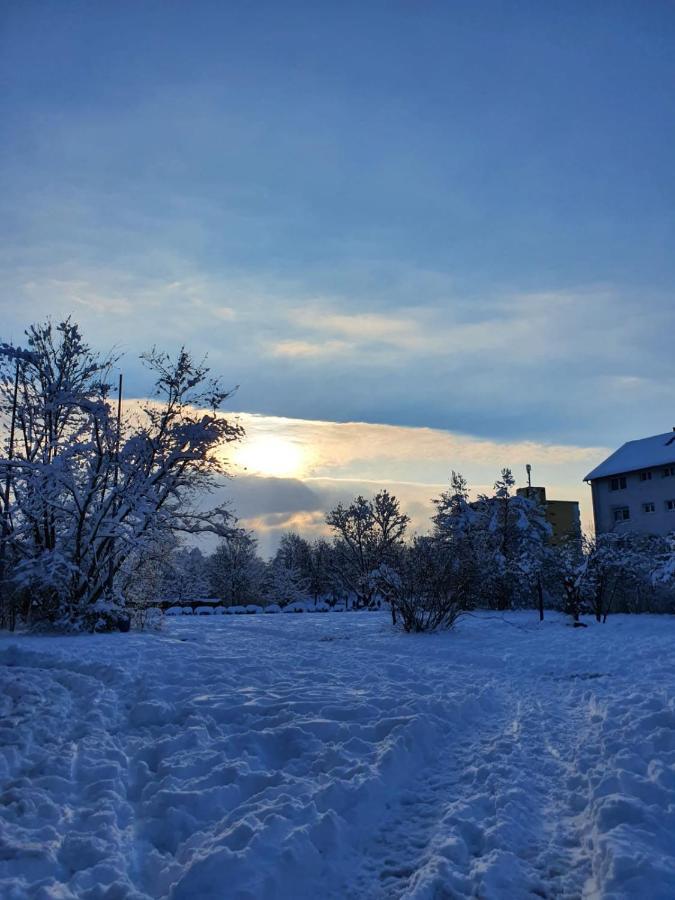 Wohnung Im Schwarzwald Mit Panorama Blick Kleines Wiesental Luaran gambar