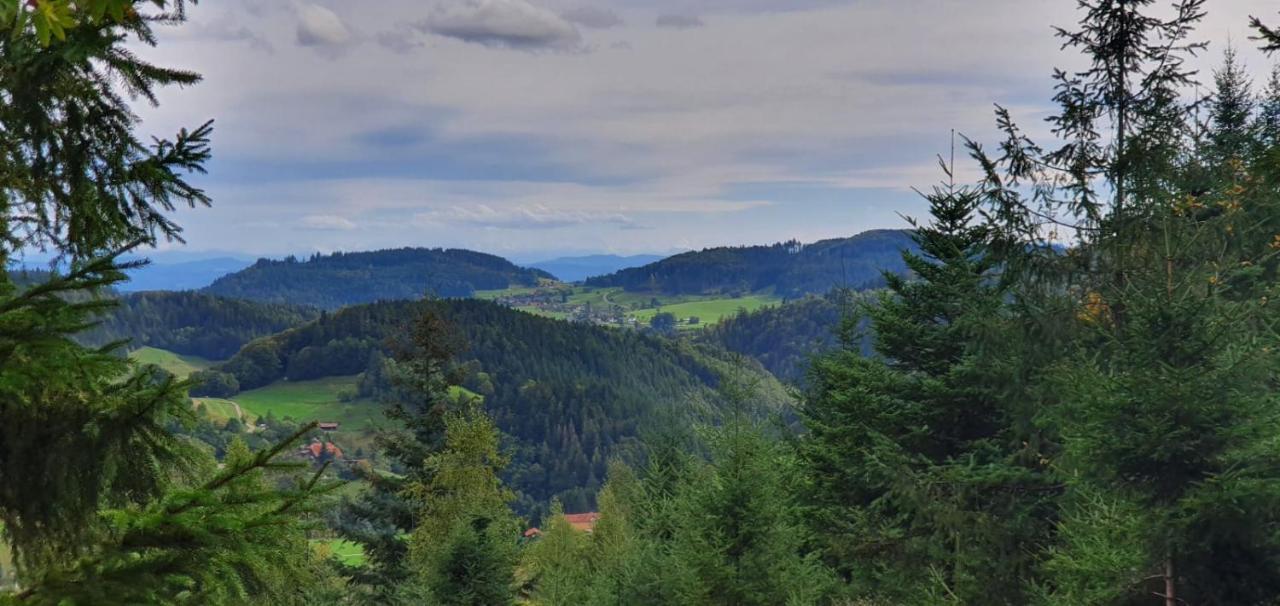 Wohnung Im Schwarzwald Mit Panorama Blick Kleines Wiesental Luaran gambar