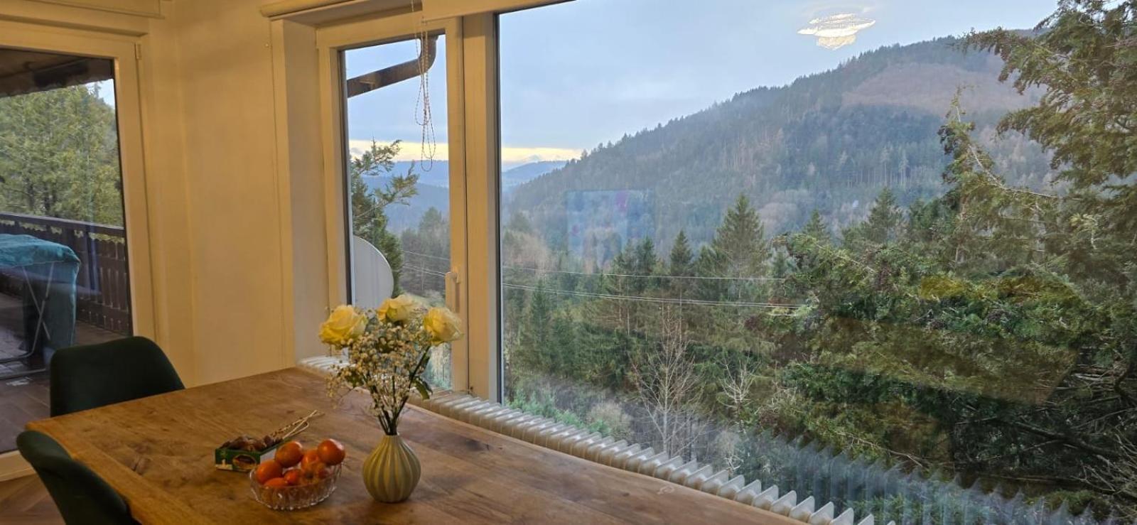 Wohnung Im Schwarzwald Mit Panorama Blick Kleines Wiesental Luaran gambar