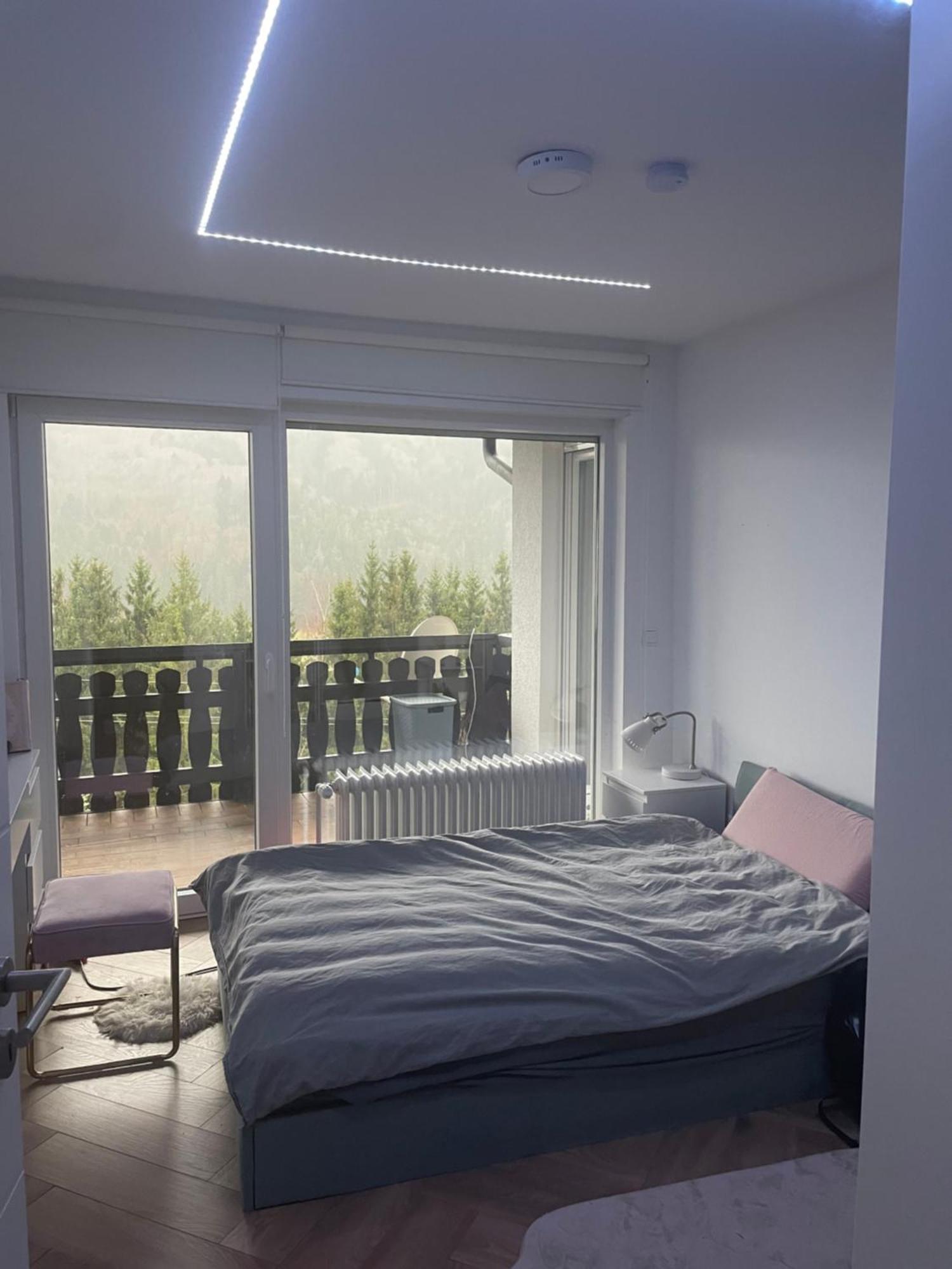 Wohnung Im Schwarzwald Mit Panorama Blick Kleines Wiesental Luaran gambar